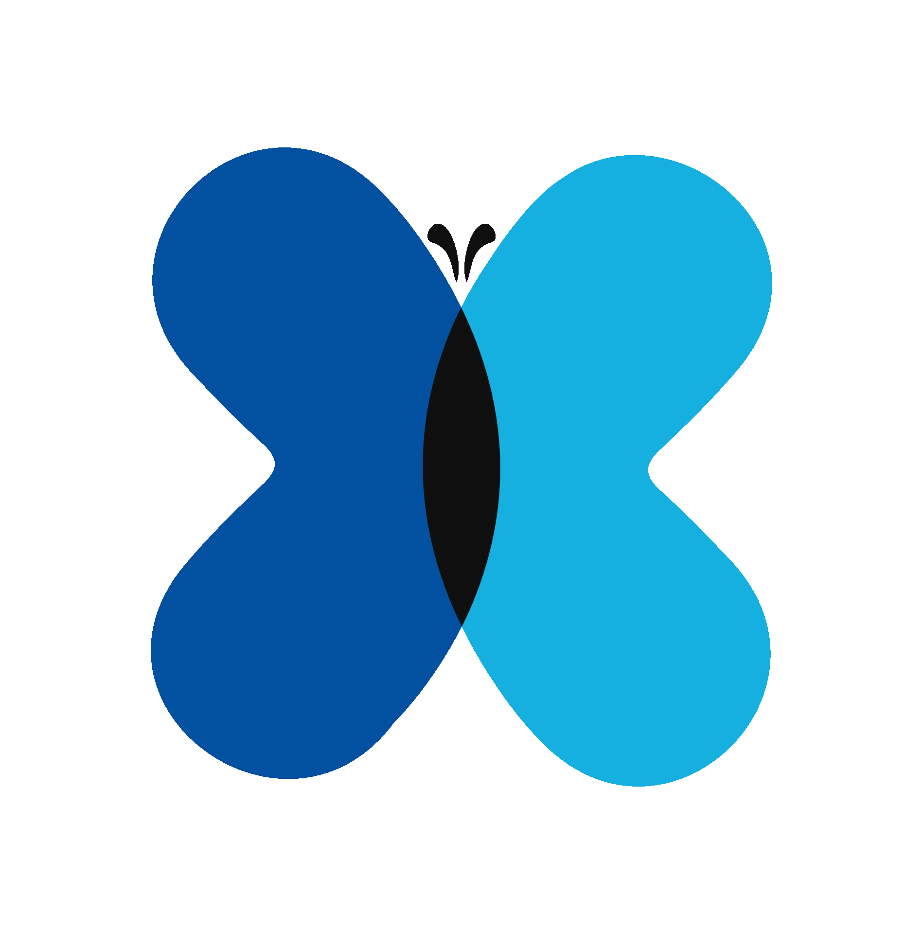 Surplusify butterfly animation